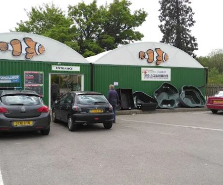 Maidenhead Aquatics Cardiff