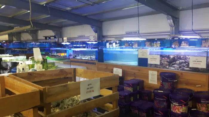 Maidenhead Aquatics Cardiff Picture 7