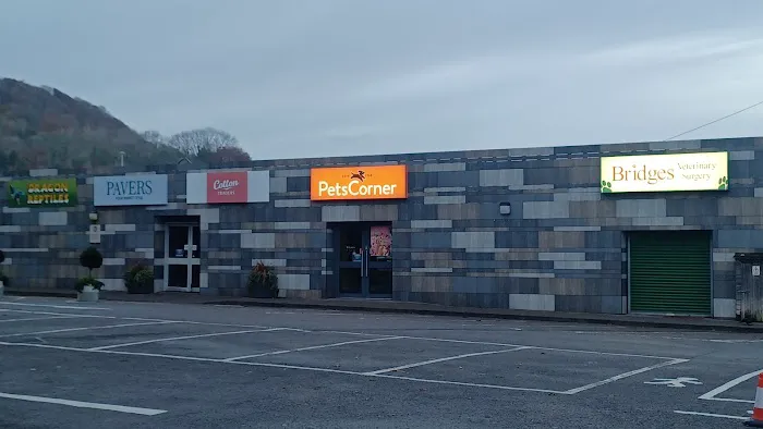 Pets Corner Picture 2