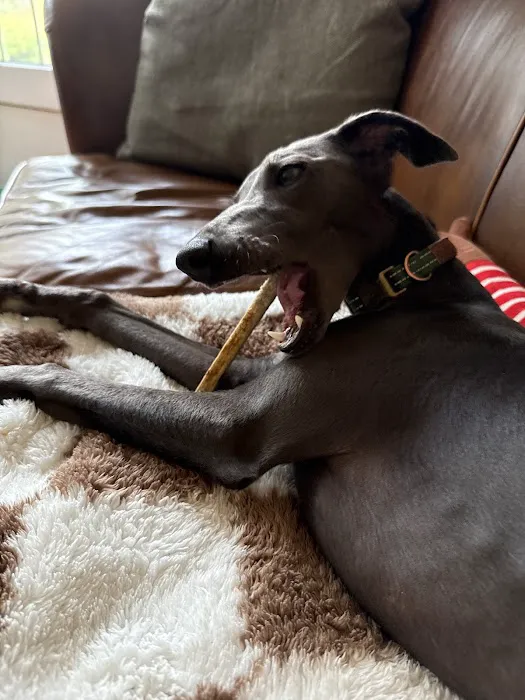 Pets Corner Picture 7