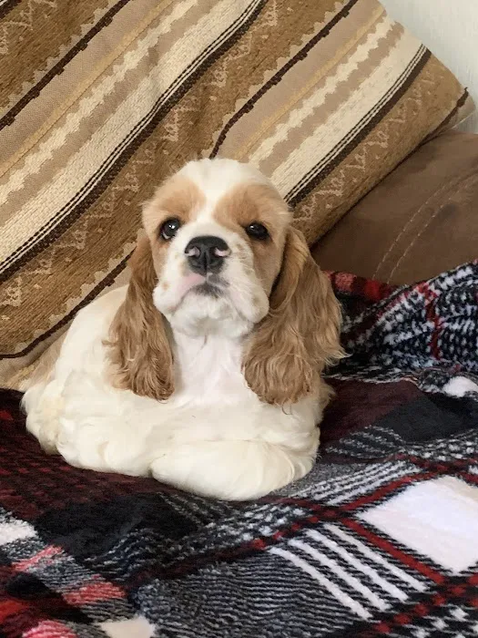 Pets Corner Picture 10