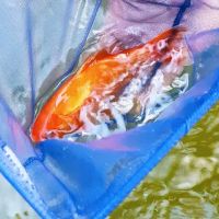 Vale Aquarium Service ico