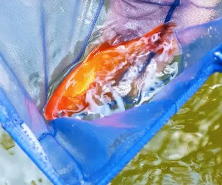 Vale Aquarium Service