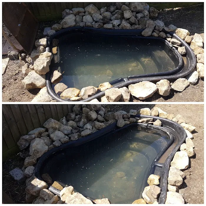 Vale Aquarium Service Picture 8