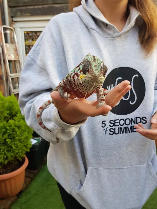 Barry Reptile and Pet store Picture 3