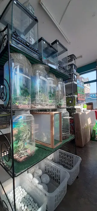 Barry Reptile and Pet store Picture 2