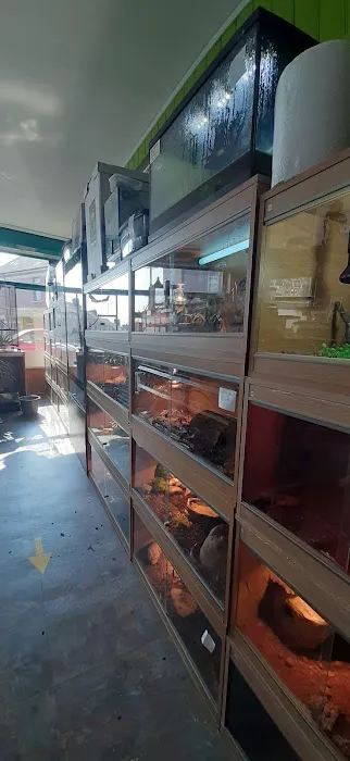 Barry Reptile and Pet store Picture 5