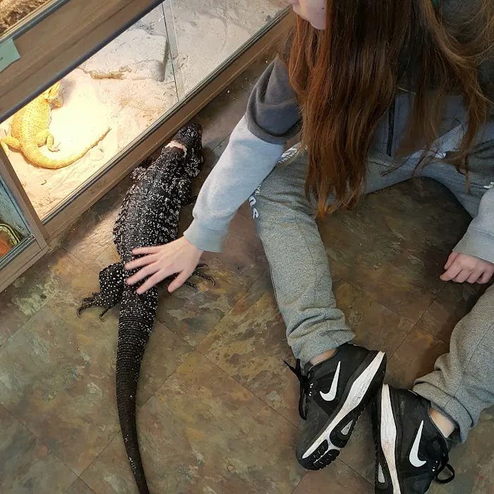 Barry Reptile and Pet store Picture 7
