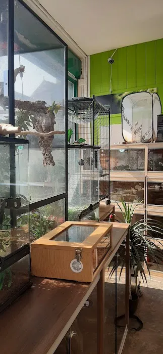 Barry Reptile and Pet store Picture 4
