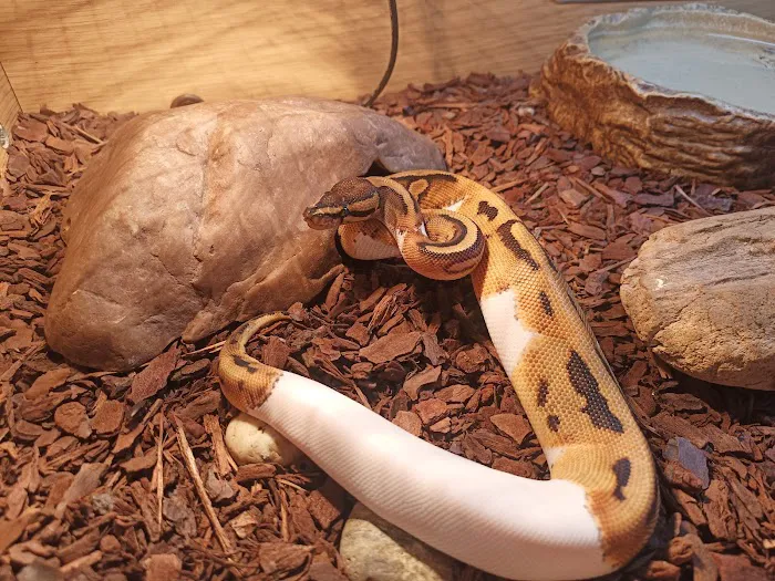 Barry Reptile and Pet store Picture 9