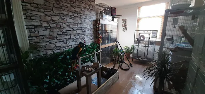 Barry Reptile and Pet store Picture 8