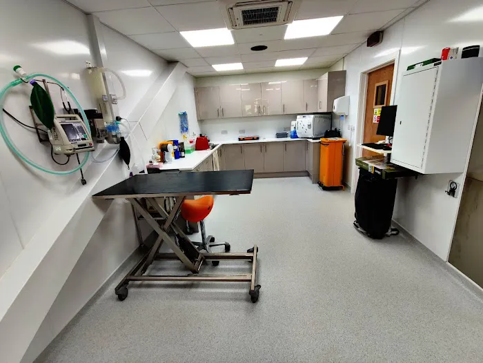 Werrington Vets Picture 1