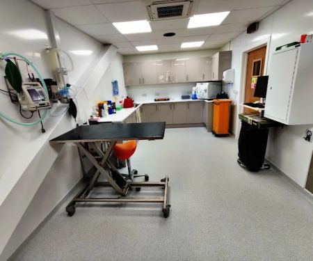 Werrington Vets