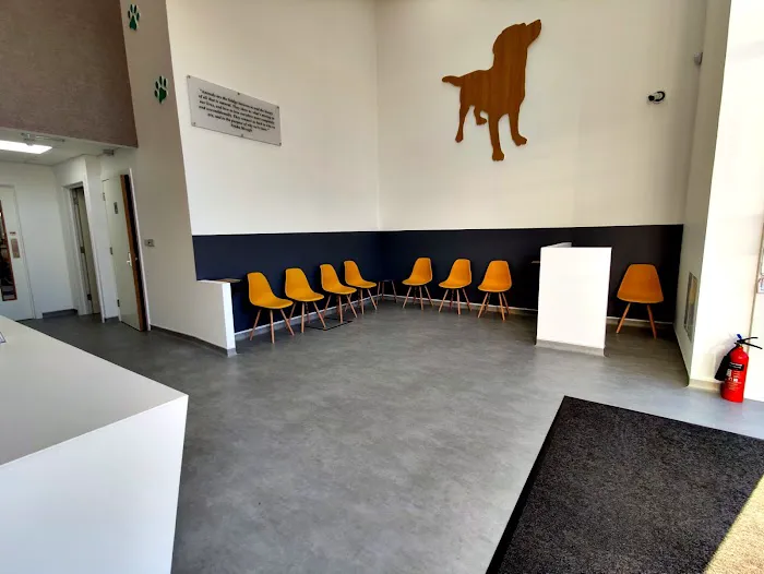 Werrington Vets Picture 7