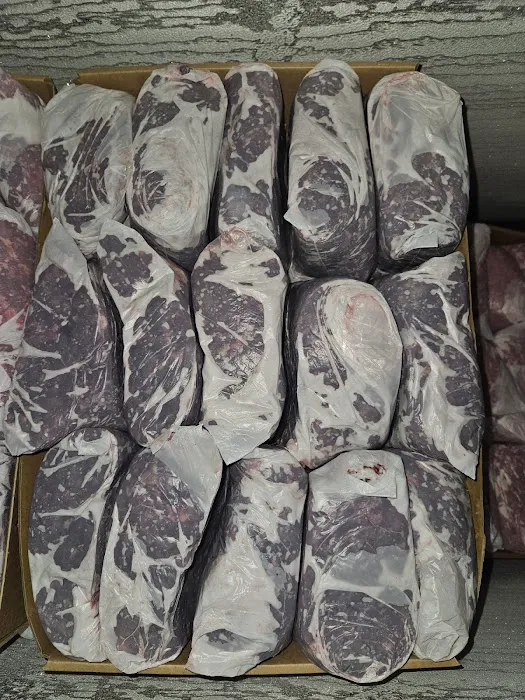 No Pressure Canine Home Boarding, Dog Training And Raw Picture 3