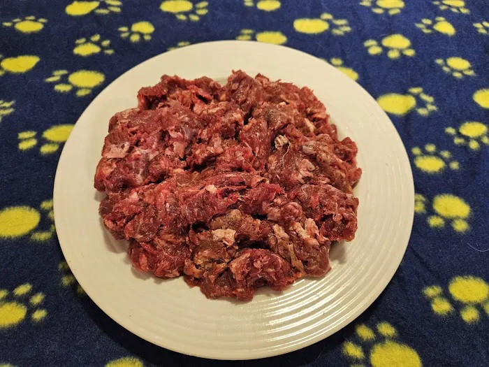 No Pressure Canine Home Boarding, Dog Training And Raw Picture 8