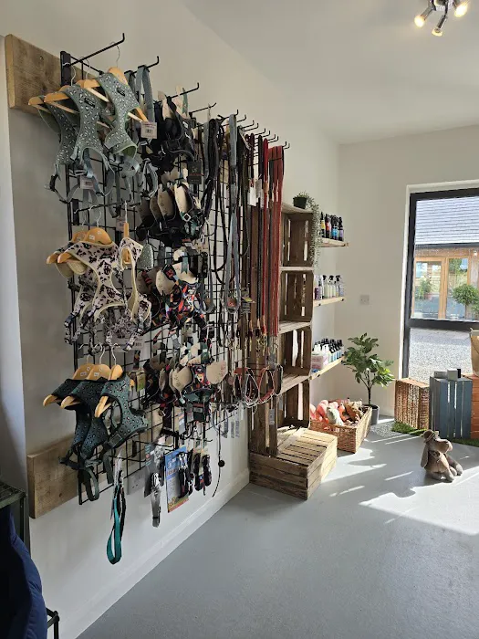 Bella's Box Picture 1