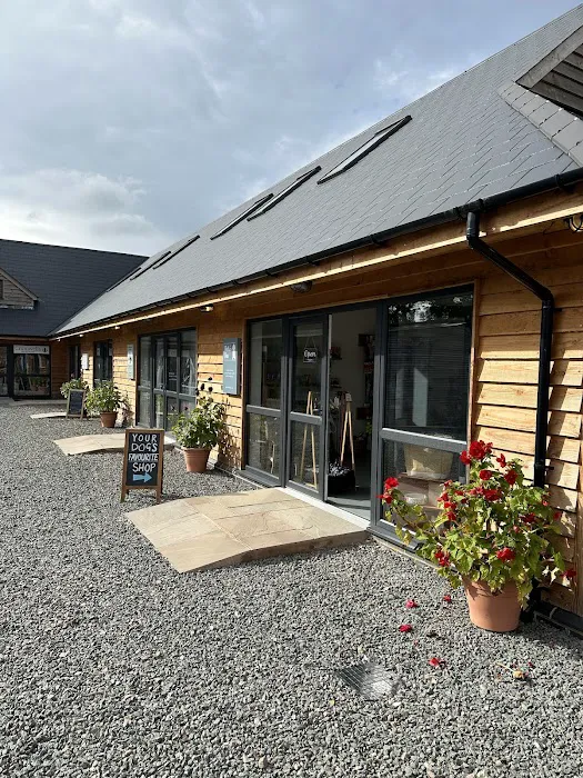 Bella's Box Picture 4