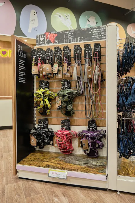 Just for Pets - East Bridgford, Nottingham Picture 5