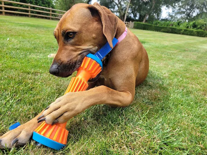 Pet Foods Plus Picture 1