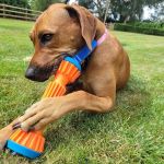 Pet Foods Plus