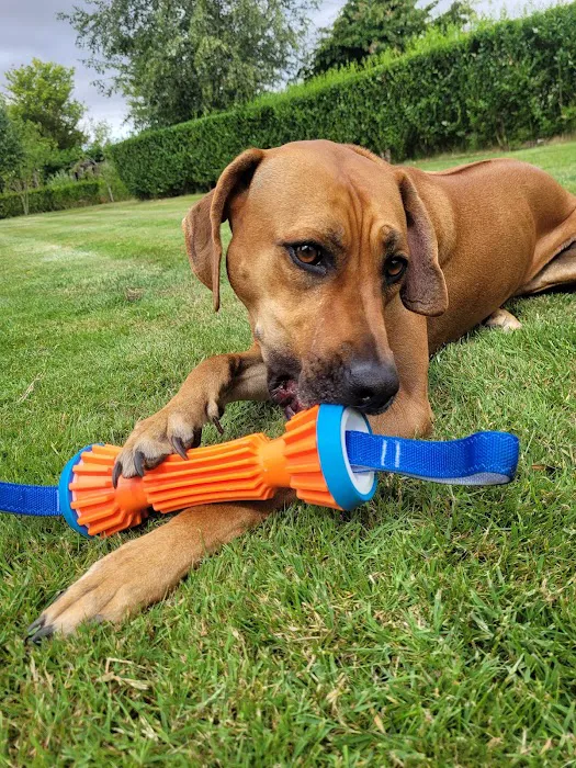 Pet Foods Plus Picture 3