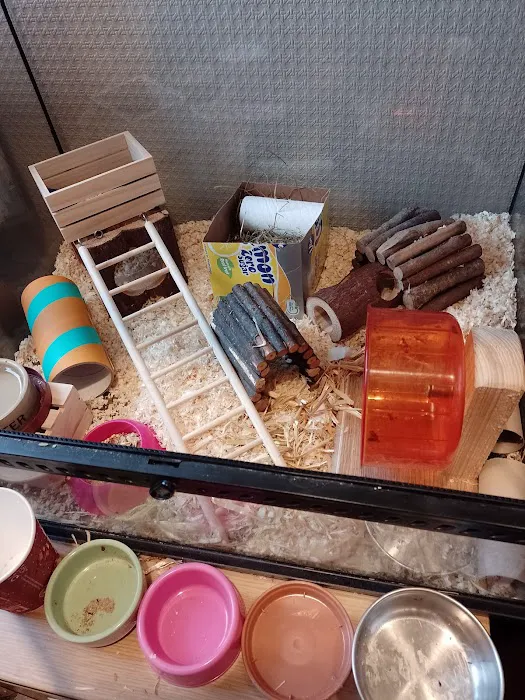 Pet Foods Plus Picture 7