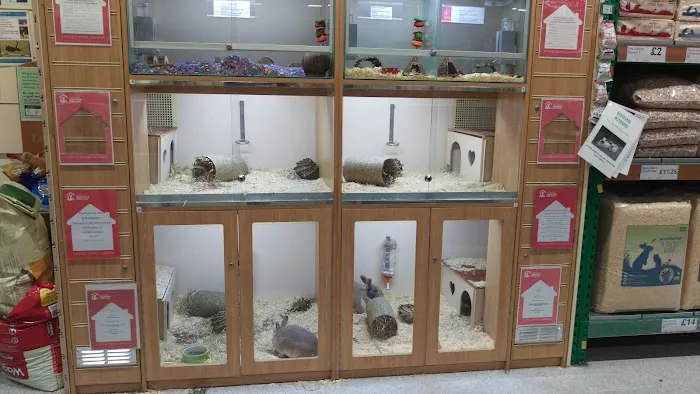 Pets at Home Newark Picture 6