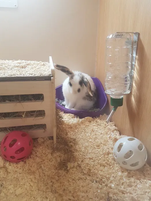 Pets at Home Newark Picture 1