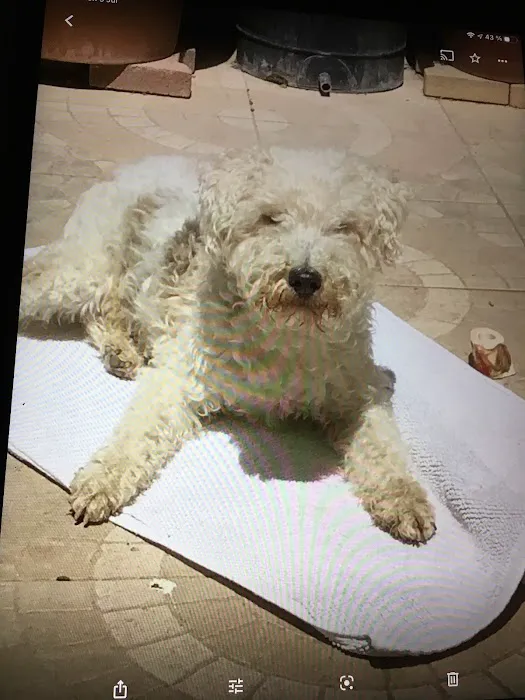 Pets at Home Newark Picture 2