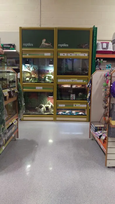 Pets at Home Newark Picture 8