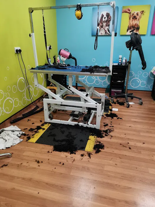 Pets at Home Melton Mowbray Picture 4