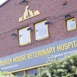 Pet Cancer Care