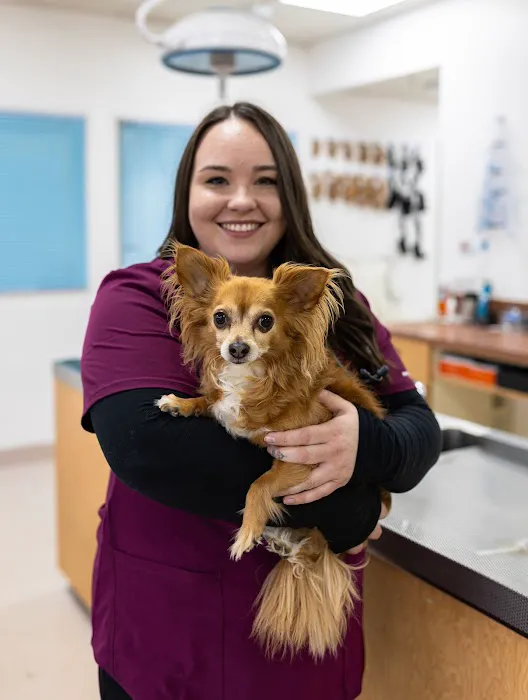 Paws & Co Veterinary Centre Picture 7