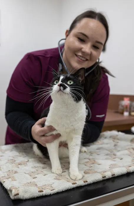 Paws & Co Veterinary Centre Picture 10
