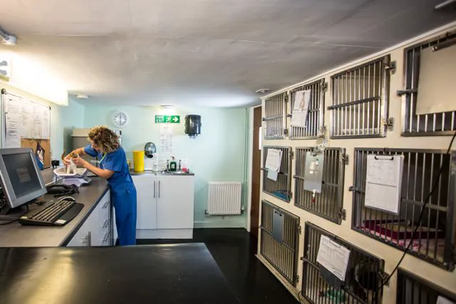 Gatehouse Veterinary Group Picture 6