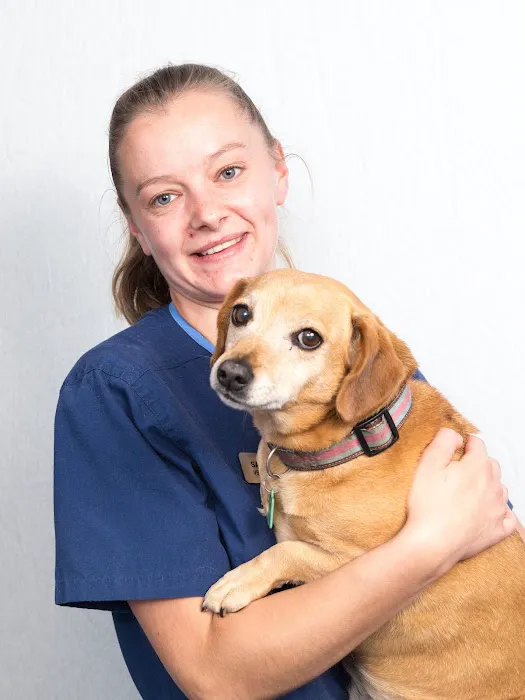 Shearbridge Veterinary Centre, Queensbury Picture 1