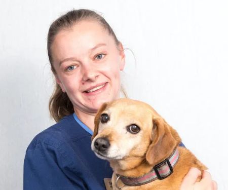 Shearbridge Veterinary Centre, Queensbury