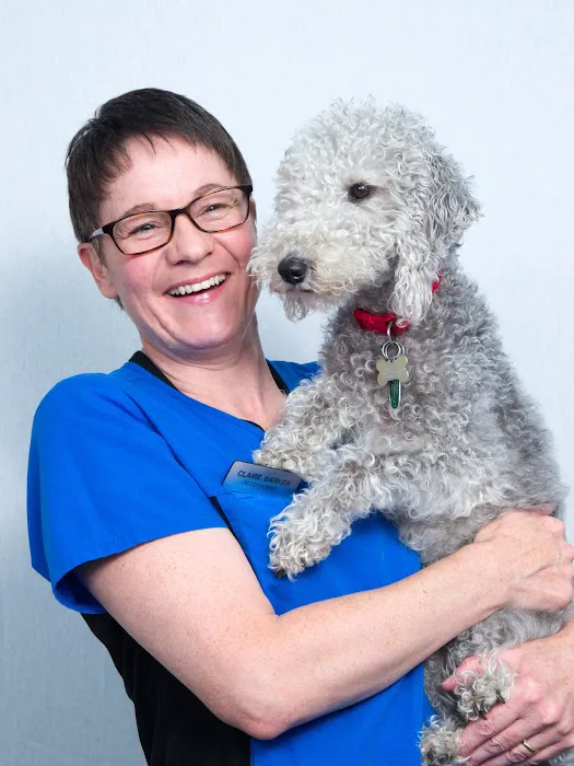 Shearbridge Veterinary Centre, Queensbury Picture 5