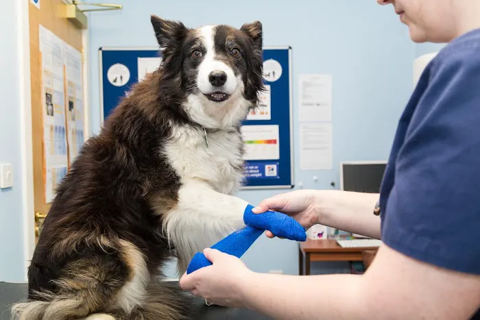 Shearbridge Veterinary Centre, Queensbury Picture 4
