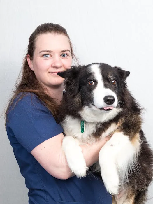 Shearbridge Veterinary Centre, Queensbury Picture 7