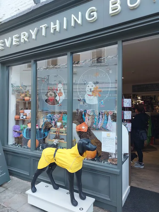 Everything But The Dog Limited Picture 5