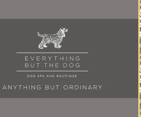 Everything But The Dog Limited