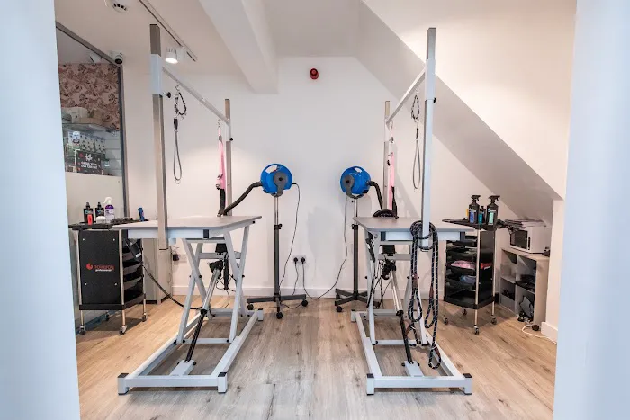 Everything But The Dog Limited Picture 2