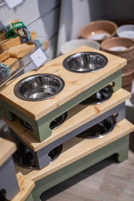 Everything But The Dog Limited Picture 4