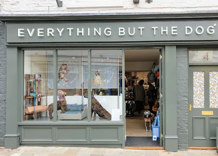 Everything But The Dog Limited Picture 3