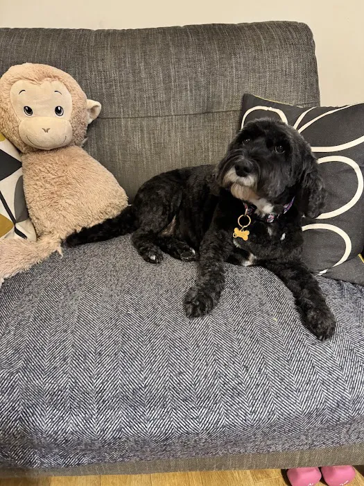 Everything But The Dog Limited Picture 7