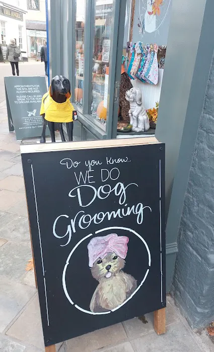 Everything But The Dog Limited Picture 9