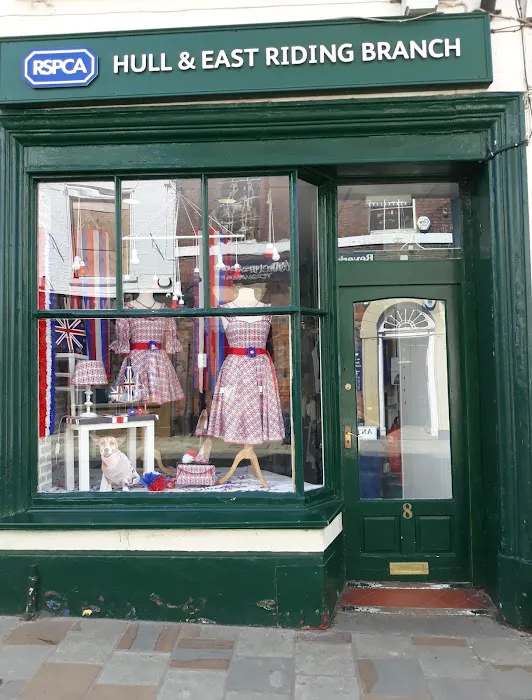 Everything But The Dog Limited Picture 8