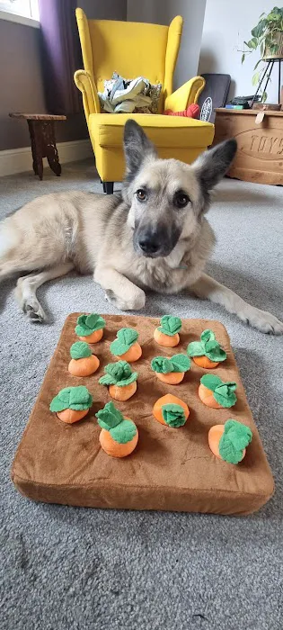 Humber Pets Picture 1